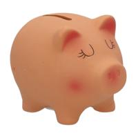 Spaarvarken - roze - keramiek - 10 x 8 x 8 cm - spaarpot varken - spaarpot