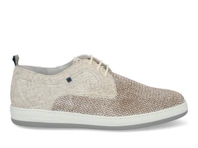 Floris van Bommel De Dijker 03.12 taupe taupe maat 43