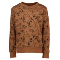 Jongens sweater Lange mouwen