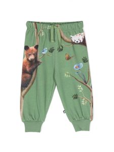 Molo pantalon de jogging Animal Living - Vert