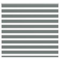 VidaXL Zebra rolgordijn 165x100 cm stofbreedte 160,9 cm donkergrijs
