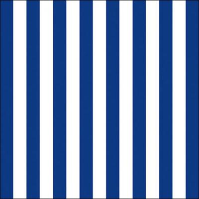 Servetten - blauw/wit gestreept - 20x - 33 x 33 cm - 3-laags - Feest/decoratie servetten