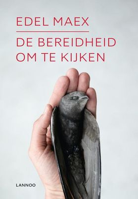 De bereidheid om te kijken - Edel Maex - ebook