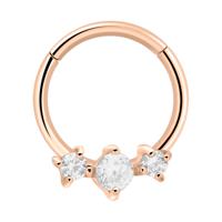 Hinged Segment Ring Met roségoud verguld chirurgisch staal Piercingringen - thumbnail