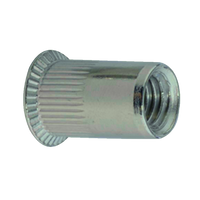 pgb-Europe PGB-FASTENERS | Blindklinkmoer verzonken kop M10x21 Zn RIVN32001010000213