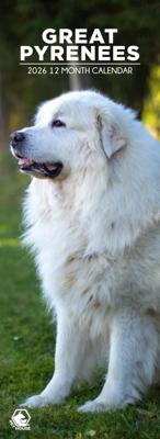 Pyreneese Berghond Slimline Kalender 2026 Pyreneese Berghond Slimline Kalender 2026