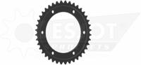 ESJOT Chain wheel 520 40z steel black