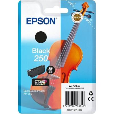 Epson Singlepack Black 250 ink