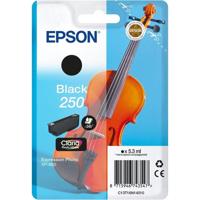 Epson Singlepack Black 250 ink