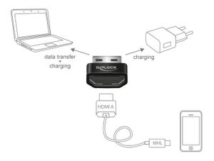 Delock 65680 Adapter HDMI-A female > USB Type-A male zwart