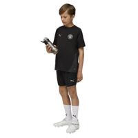 PUMA Manchester City Trainingsset 2025-2026 Kids Zwart Zilver