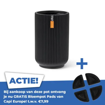 Vaas hoog groove d22h32 zwart Vaas hoog groove d22h32 zwart