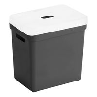 Opbergboxen/opbergmanden zwart van 25 liter kunststof met transparante deksel - Opbergbox