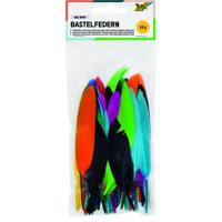 Indianen veren folia assorti | 10 stuks