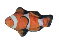 Wild Life Cat Clownfish (Clownvis)