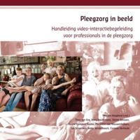 Pleegzorg in beeld (Paperback)