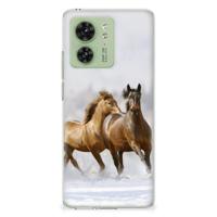 Motorola Edge 40 | TPU Hoesje | Paarden