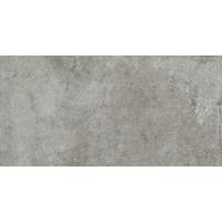 Vloertegel Pamesa Montpellier Ash 60x120 cm Gerectificeerd Mat Grijs Pamesa