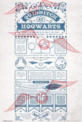 Poster Harry Potter Quidditch at Hogwarts 61x91,5cm
