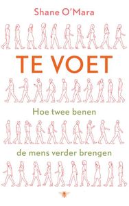 Te voet - Shane O'Mara - ebook