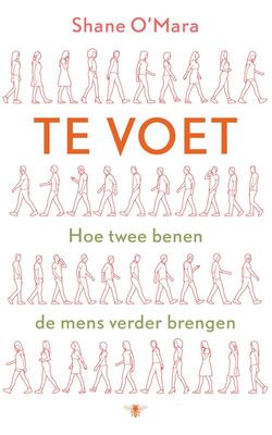 Te voet - Shane O'Mara - ebook