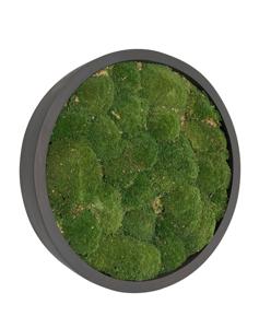 Mosschilderij Jade Fiberstone M