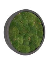 Mosschilderij Jade Fiberstone M