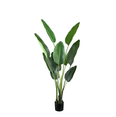 Kunstplant Groen Strelitzia M