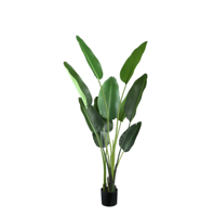 Kunstplant Groen Strelitzia M