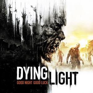 Warner Bros. Games Dying Light PlayStation 4