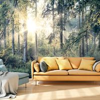 Zelfklevend fotobehang - Verhalen van een bos  , Premium Print - thumbnail
