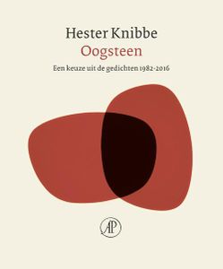 Oogsteen - Hester Knibbe - ebook