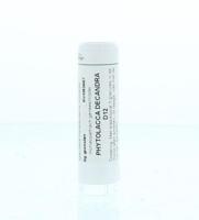 Homeoden Heel Phytolacca decandra D12 6 Gram