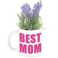 Moederdag cadeautje Best mom mok met lavendel kunstplantje   -