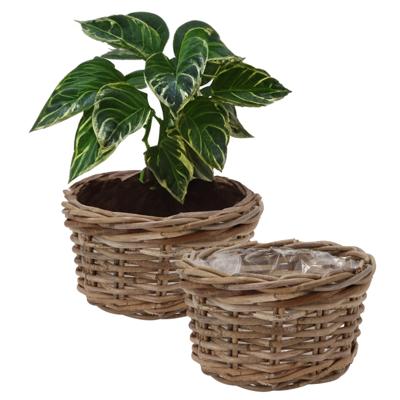 Plantenmand/aardappelmand tafelmodel - 2x - Ivy - met binnenzak - rotan - B25 x H13 cm - binnen/buit