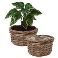 Plantenmand/aardappelmand tafelmodel - 2x - Ivy - met binnenzak - rotan - B25 x H13 cm - binnen/buit