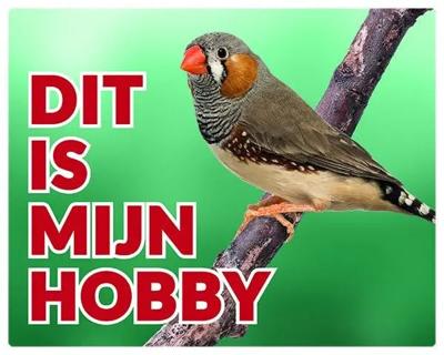 Zebravink Waakbord - Dit is mijn hobby