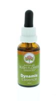Dynamis essence