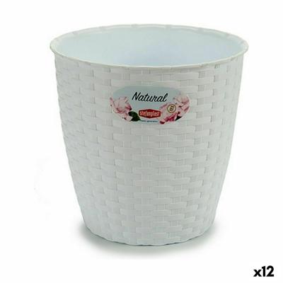 Stefanplast Wit Plastic 19 x 17,5 x 19 cm (12 Stuks)