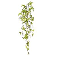 Tradescantia Kunsthangtak groen-bont 80cm