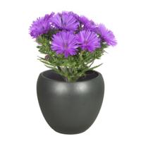Floran Bloempot Rian - mat antraciet - keramiek - 27 x 24 cm - plantenpotten binnen