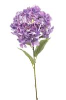 Hydrangea XL spray purple 90 cm - Emerald