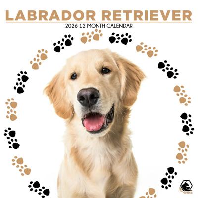 Labrador Retriever Blond Kalender 2026 Labrador Retriever Blond Kalender 2026