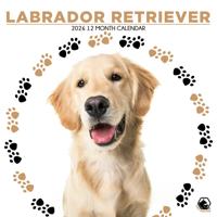 Labrador Retriever Blond Kalender 2026