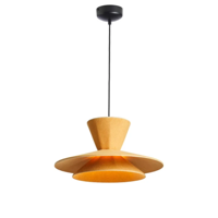 Loom Design - Morphic Hanglamp