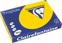 Clairefontaine Trophée Pastel, gekleurd papier, A3, 160 g, 250 vel, goudgeel - thumbnail