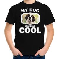 Honden liefhebber shirt Sint bernard my dog is serious cool zwart voor kinderen XL (158-164)  -