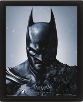 Batman Arkham Origins Framed 3D Effect Poster Pack Batman Vs. Joker 26 X 20 Cm (3)