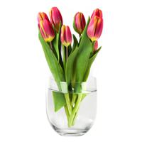 Bloemenvaas Karel - helder transparant glas - D23 x H23 cm - decoratieve vaas - bloemen/takken