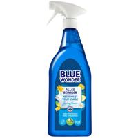 Alles-reiniger Spray 750 ml - Hg